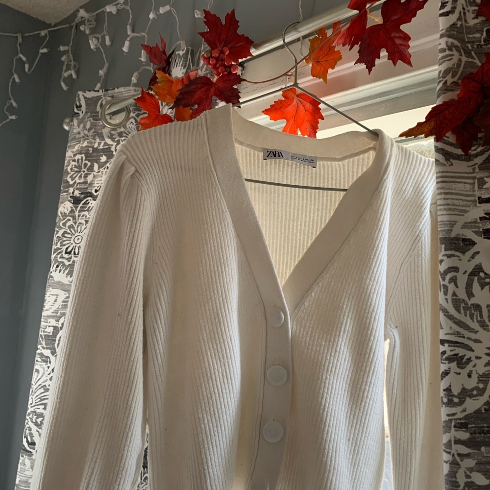 Zara small knit sweater